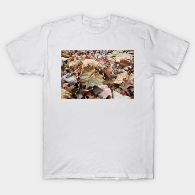 Camo camouflage T-Shirt by Beccasab photo & design